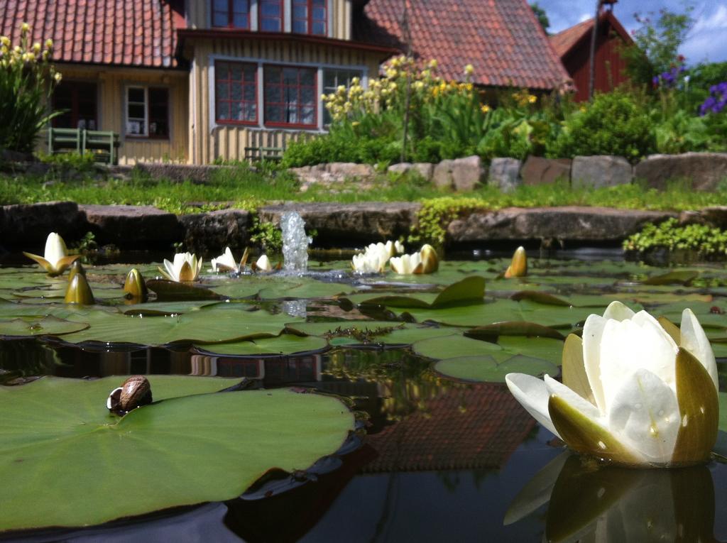 Vildrosor & Hoens Hagstad Extérieur photo