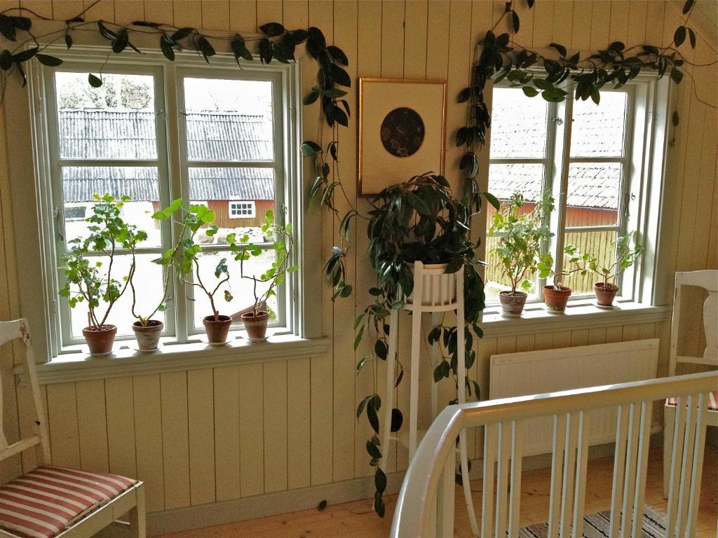 Vildrosor & Hoens Hagstad Extérieur photo